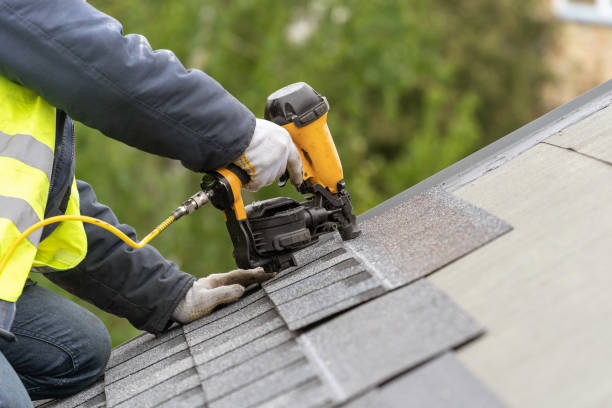 Best Roof Moss and Algae Removal  in Bono, AR