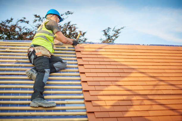 Best Skylight Installation and Repair  in Bono, AR